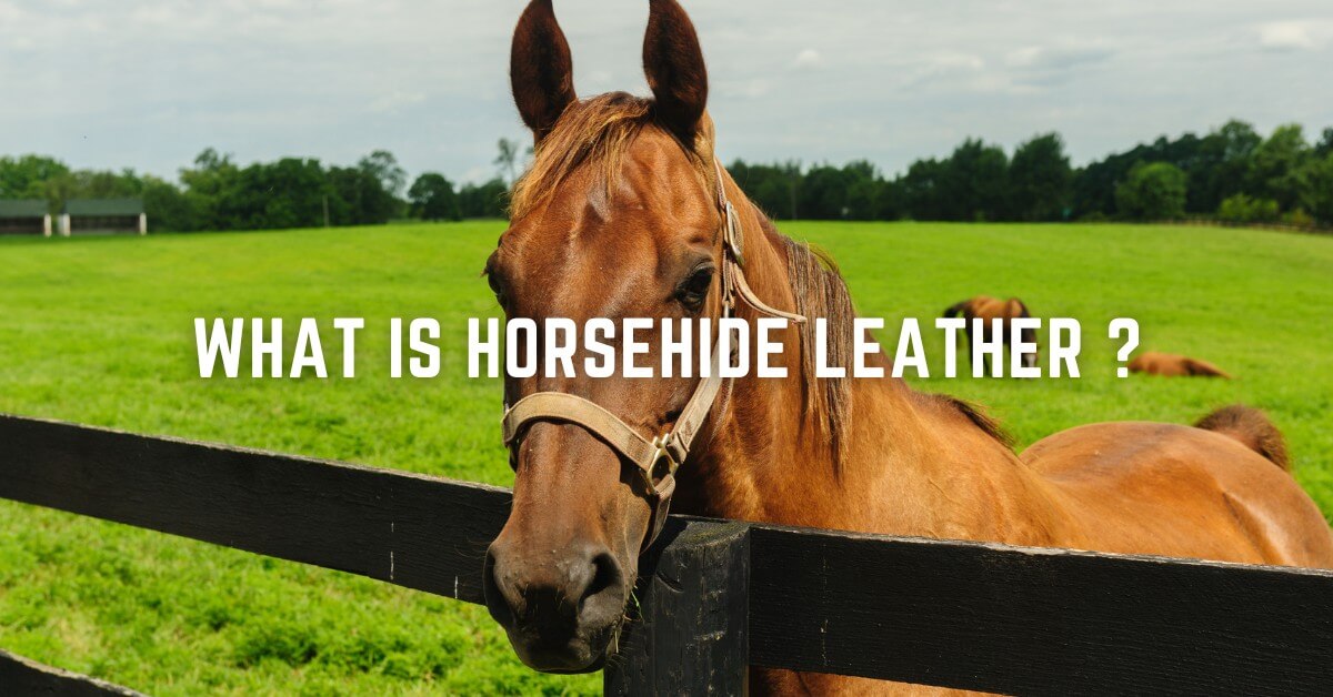 What is Horsehide Leather