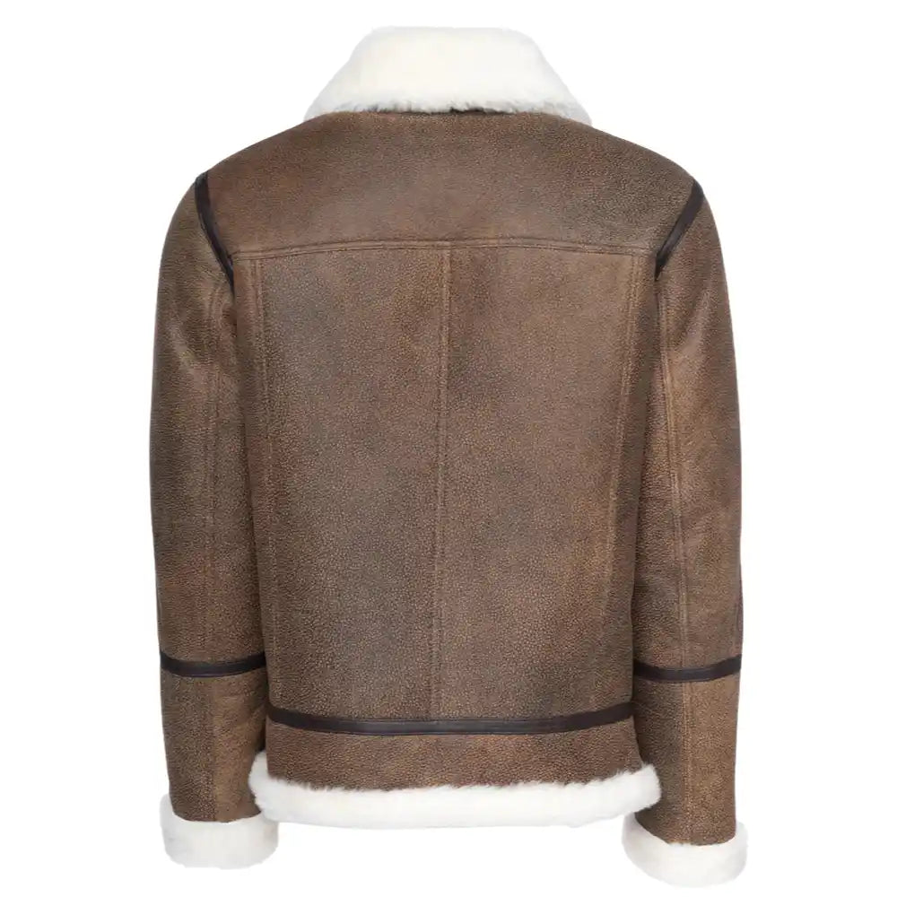 Back view of the Jacoba brown B3 shearling bomber jacket with a sleek, classic design and soft shearling lining on the collar and cuffs.